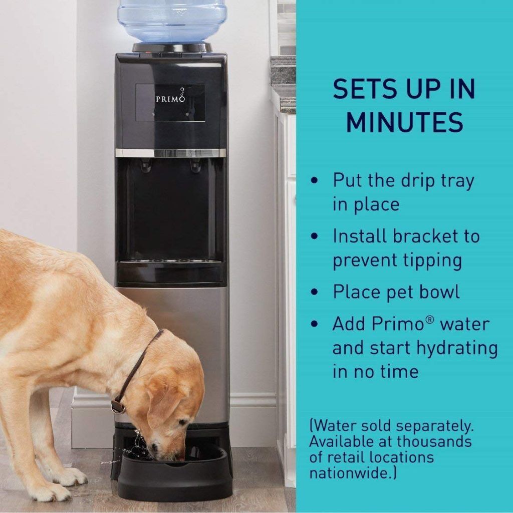 Primo Deluxe Top Loading Water Dispenser with Pet Station Review